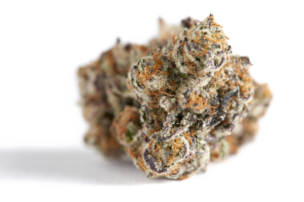 Big chief Gelatto 33