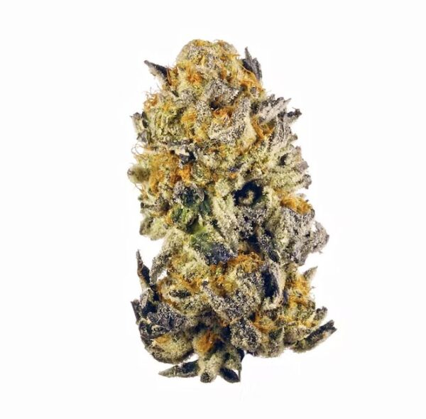 Motorbreath strain