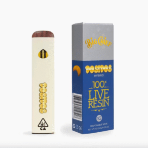Dosidos Big Chief Disposable Weed Vape Pens: 1G (Hybrid)