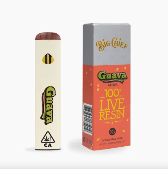 Guava Big Chief Disposable Weed Pens | 1G (Sativa)
