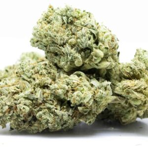White Truffle Strain | Super Exotic