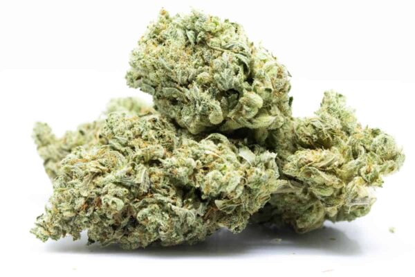 White Truffle Strain | Super Exotic