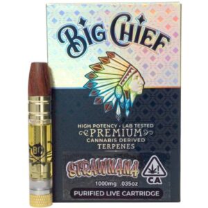 Big Chief CDT Cartridges 1G – Strawnana